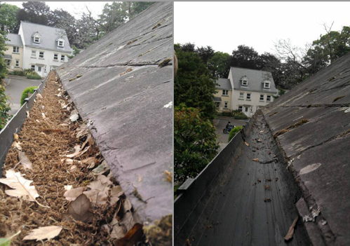 Cleaning Gutters